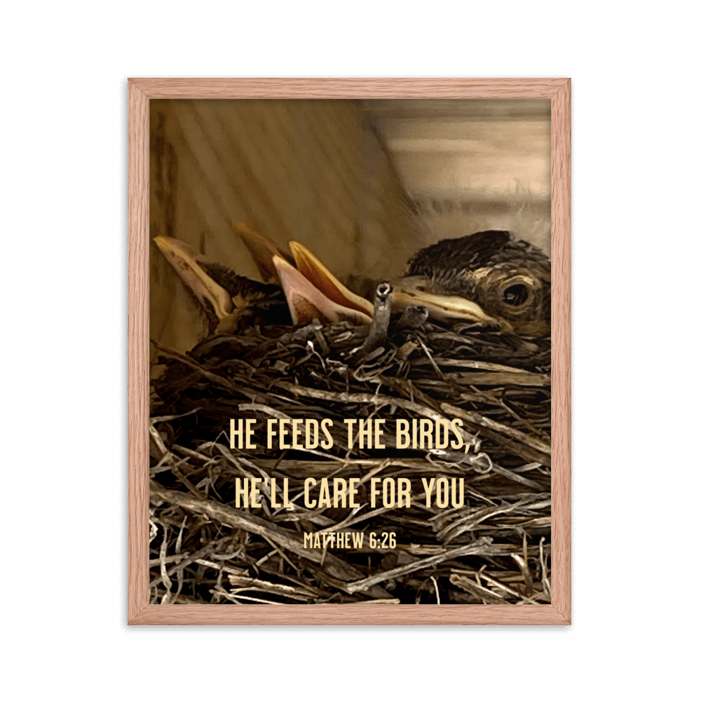 Matt 6:26, Baby Robins, He'll Care for You Framed Poster