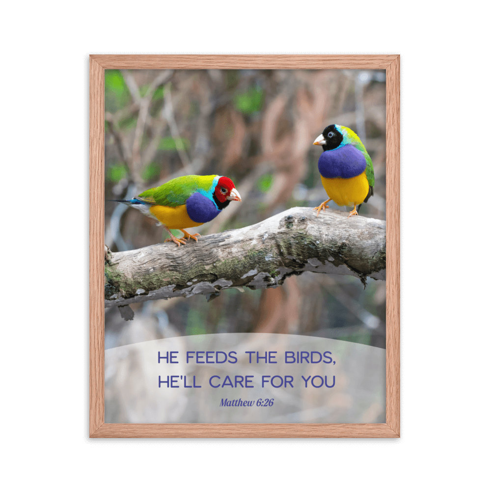 Matt 6:26, Gouldian Finches, He'll Care for You Framed Poster