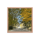 Prov 3:6, Bible Verse, Fall Road Framed Poster