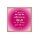 1 John 4:14 - Bible Verse, that the Father Enhanced Matte Paper Framed Poster