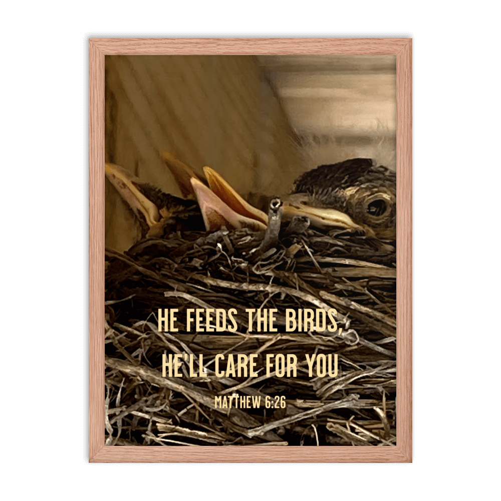 Matt 6:26, Baby Robins, He'll Care for You Framed Poster