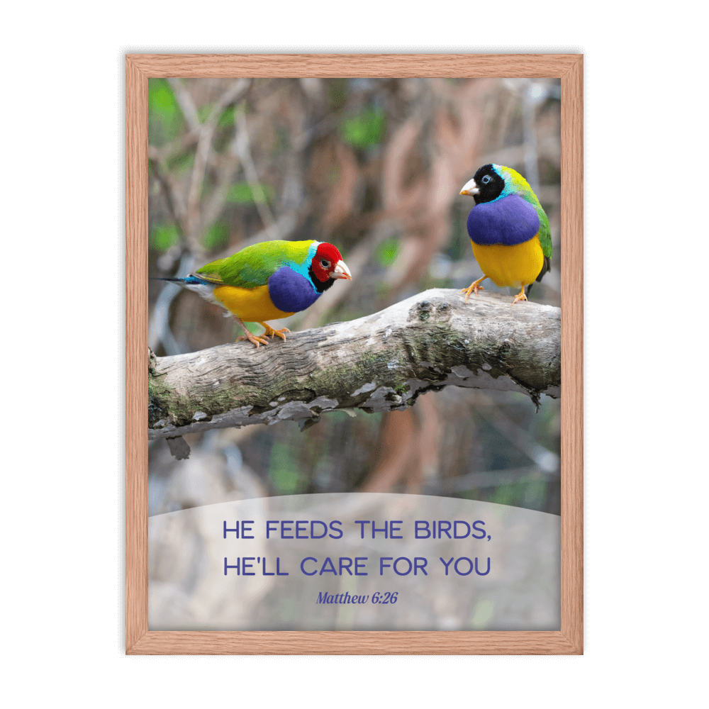 Matt 6:26, Gouldian Finches, He'll Care for You Framed Poster