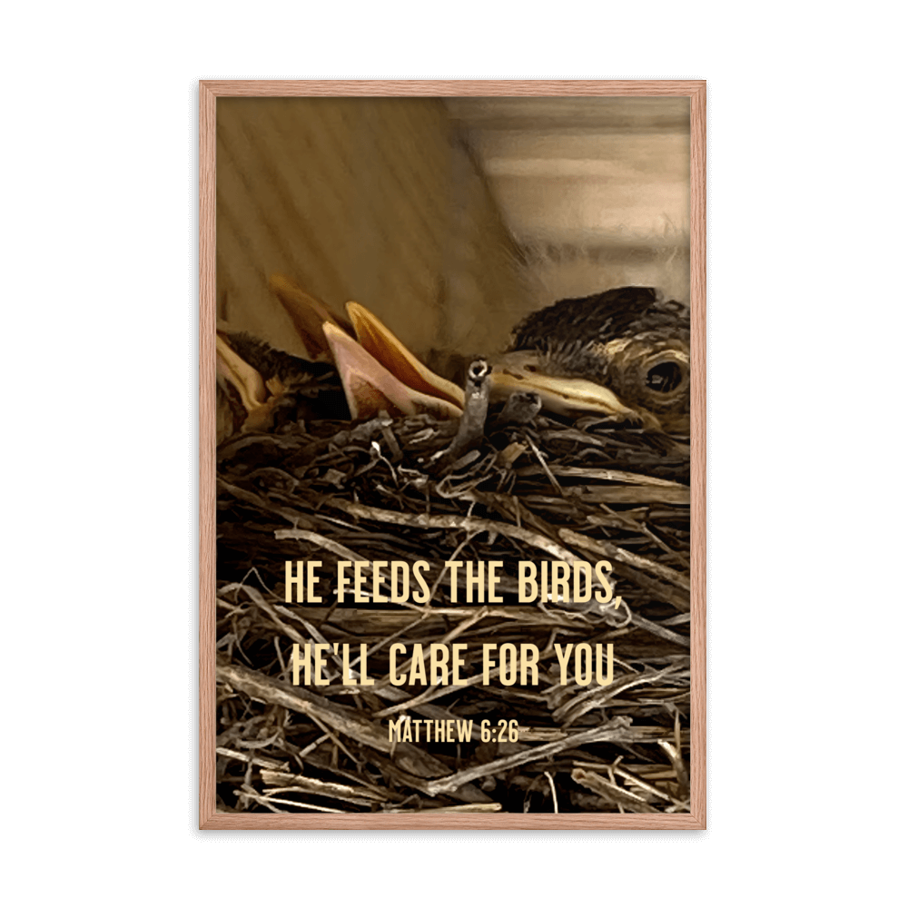 Matt 6:26, Baby Robins, He'll Care for You Framed Poster