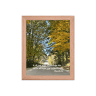 Prov 3:6, Bible Verse, Fall Road Framed Poster