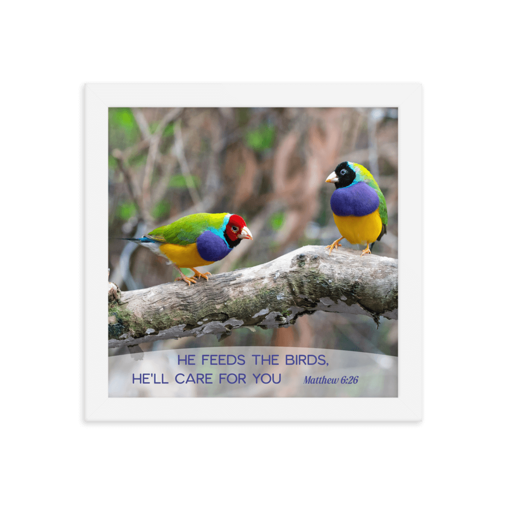 Matt 6:26, Gouldian Finches, He'll Care for You Framed Poster