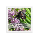 2 Cor. 5:17 Bible Verse, Butterfly Framed Poster