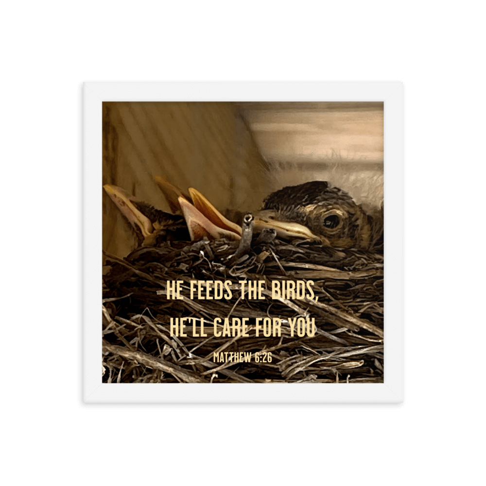 Matt 6:26, Baby Robins, He'll Care for You Framed Poster