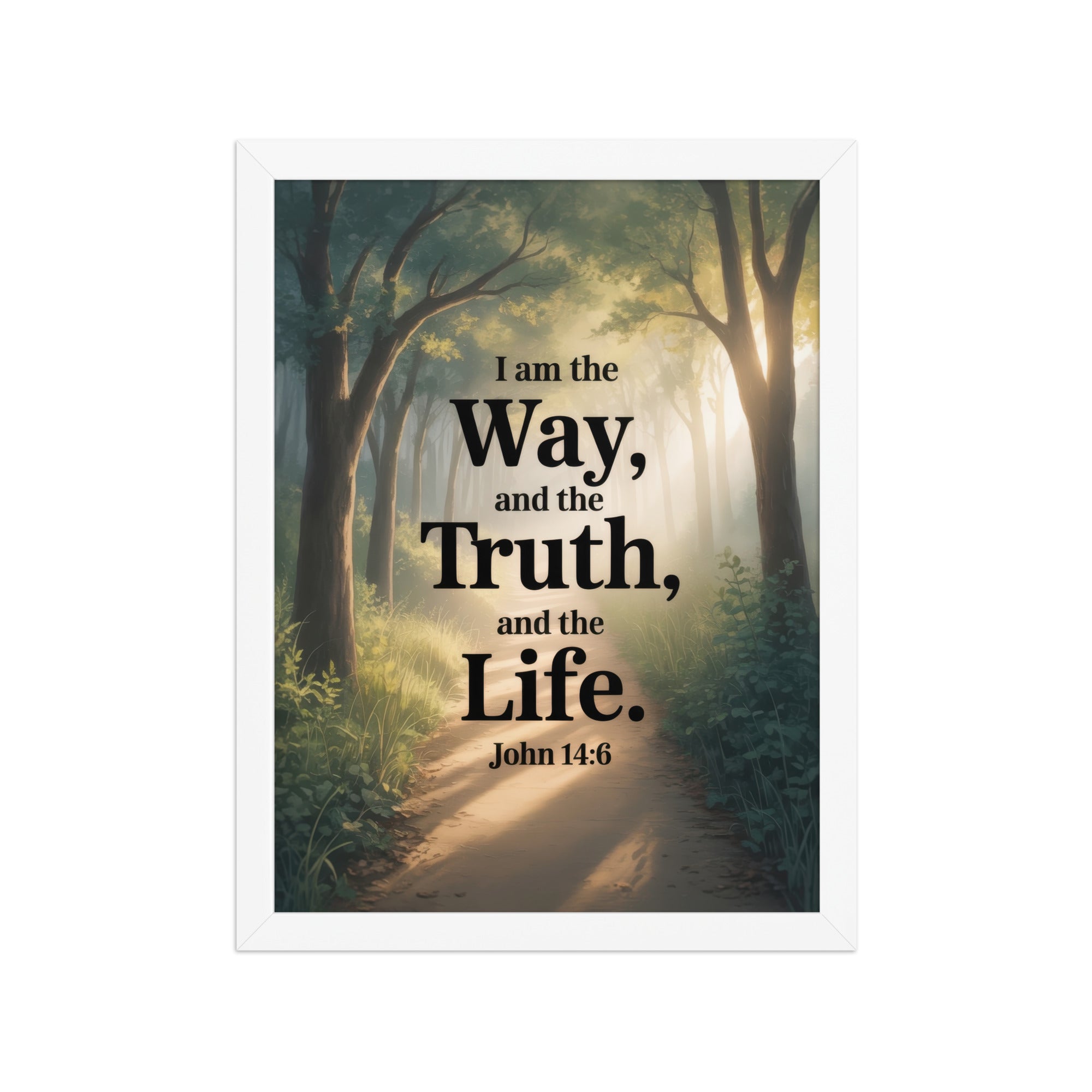 John 14:6 Bible Verse The Life Enhanced Matte Paper Framed Poster White 12″×16″