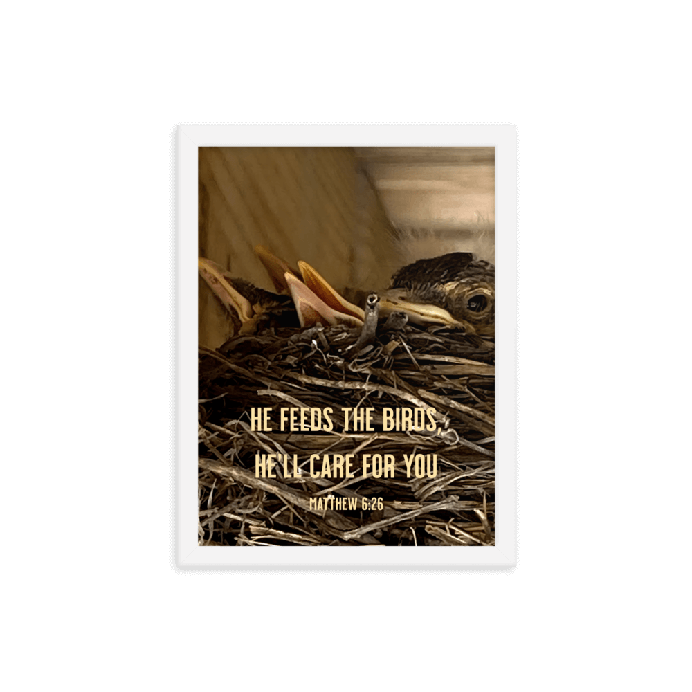 Matt 6:26, Baby Robins, He'll Care for You Framed Poster