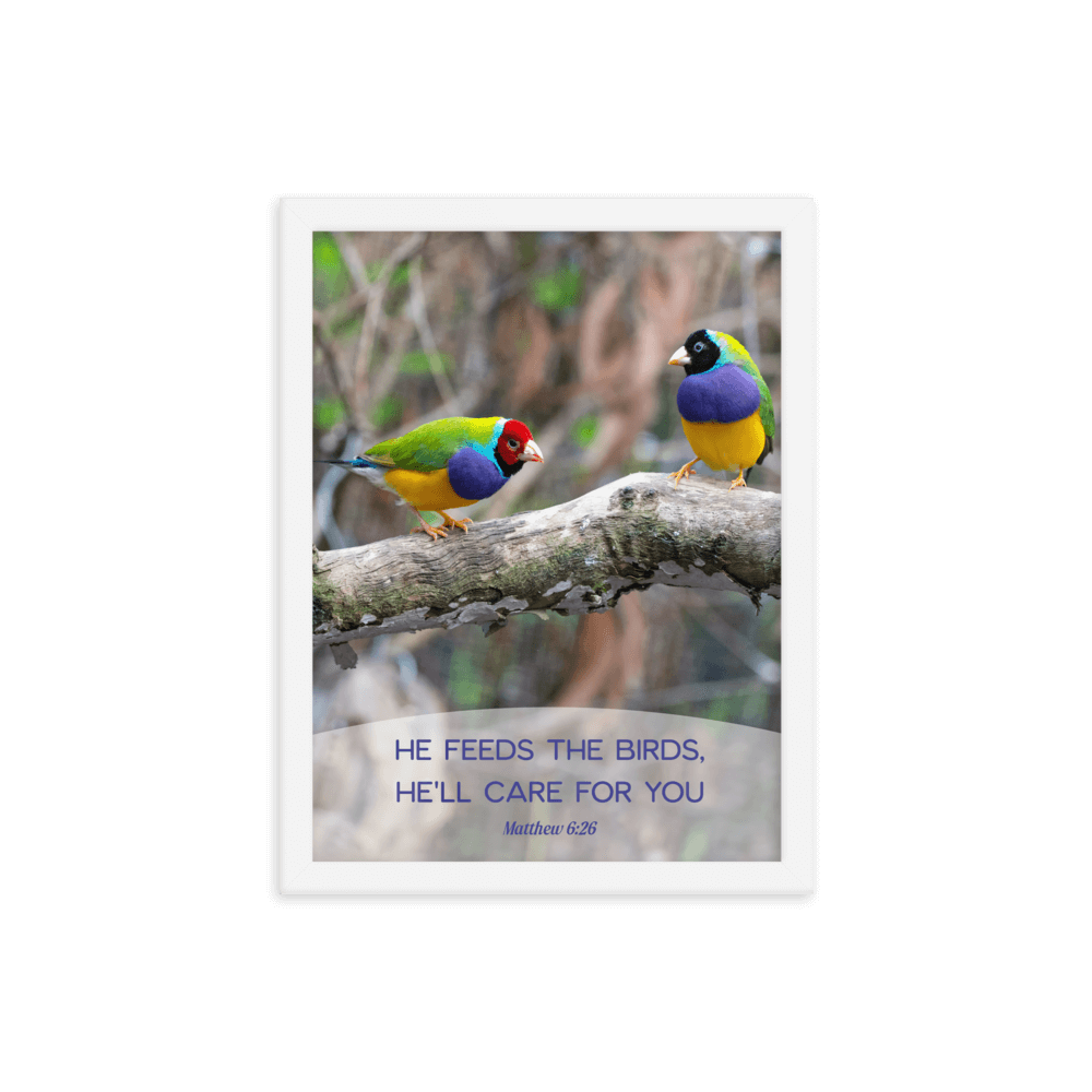 Matt 6:26, Gouldian Finches, He'll Care for You Framed Poster