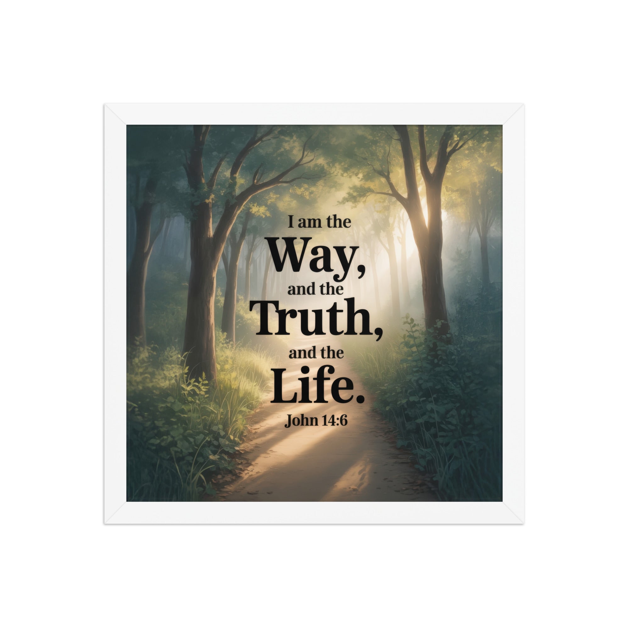 John 14:6 Bible Verse The Life Enhanced Matte Paper Framed Poster White 14″×14″
