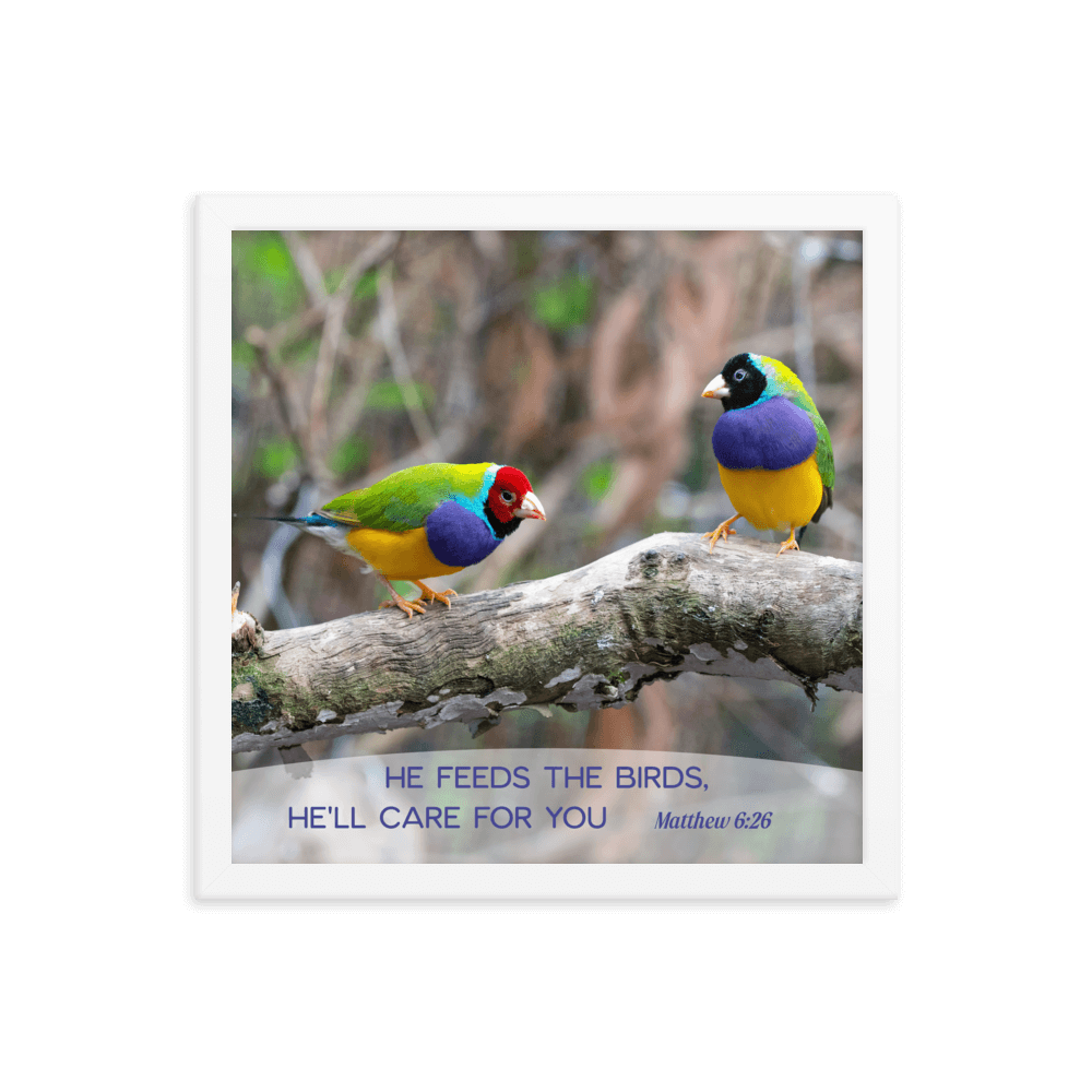 Matt 6:26, Gouldian Finches, He'll Care for You Framed Poster