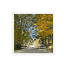 Prov 3:6, Bible Verse, Fall Road Framed Poster