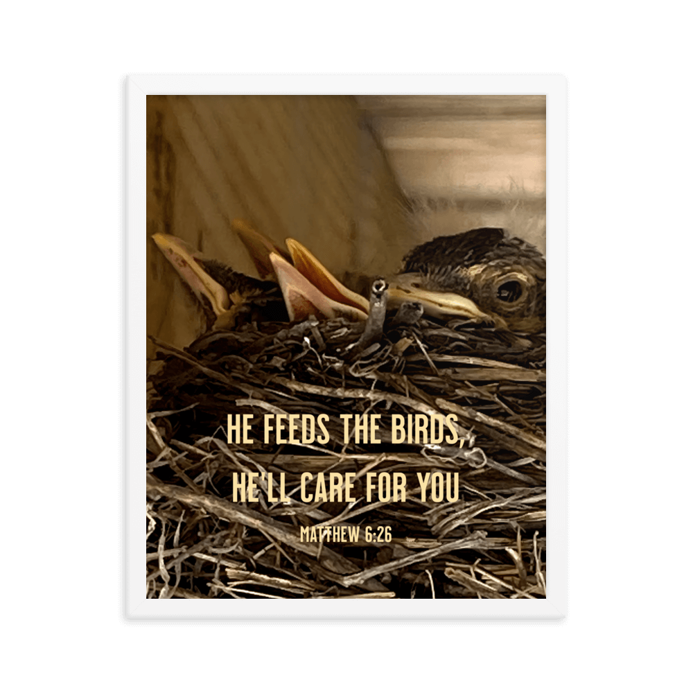 Matt 6:26, Baby Robins, He'll Care for You Framed Poster