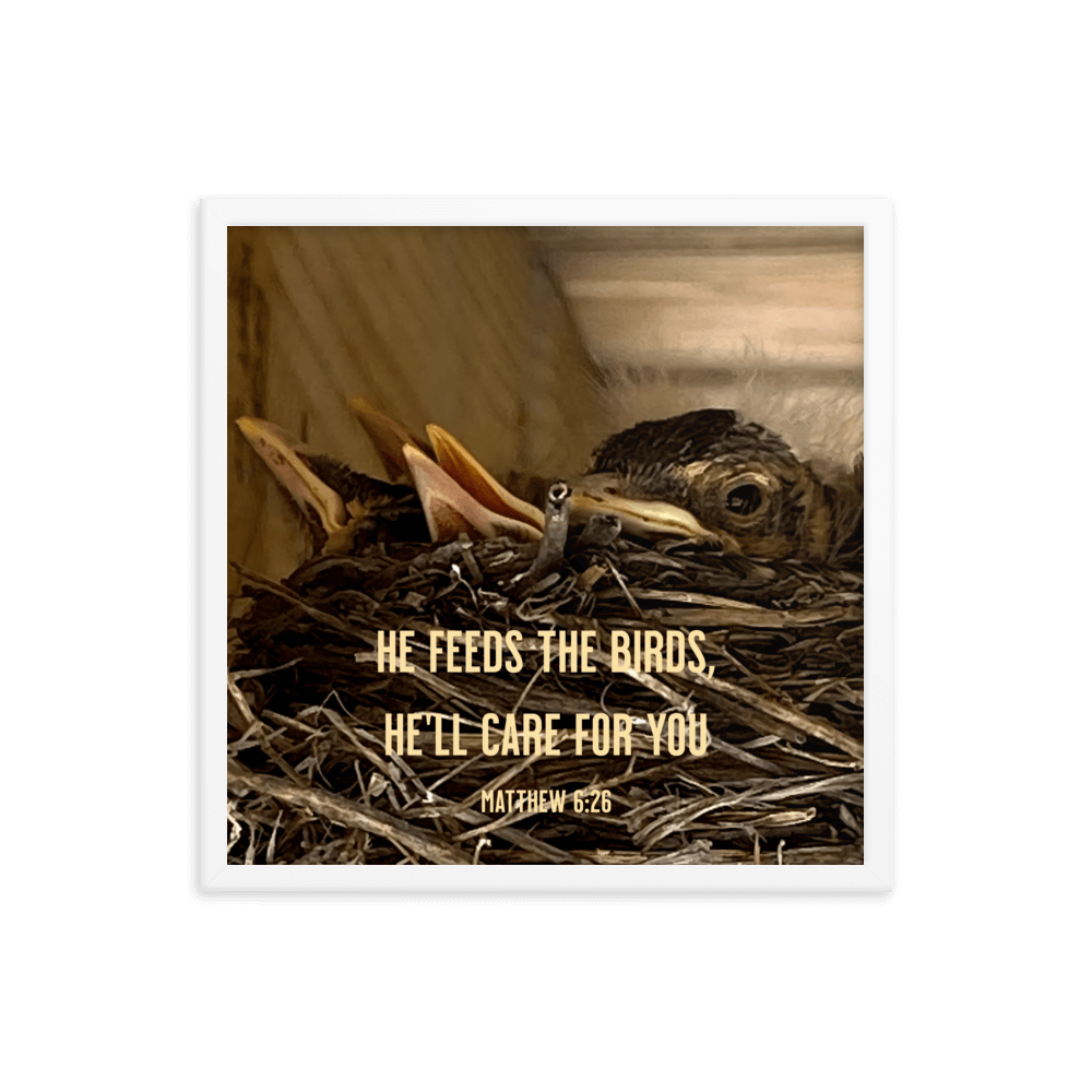 Matt 6:26, Baby Robins, He'll Care for You Framed Poster