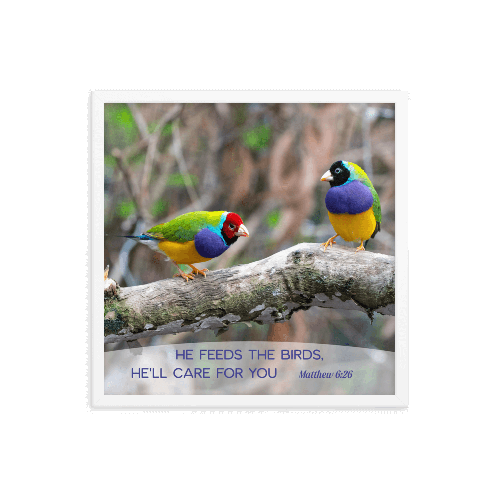 Matt 6:26, Gouldian Finches, He'll Care for You Framed Poster