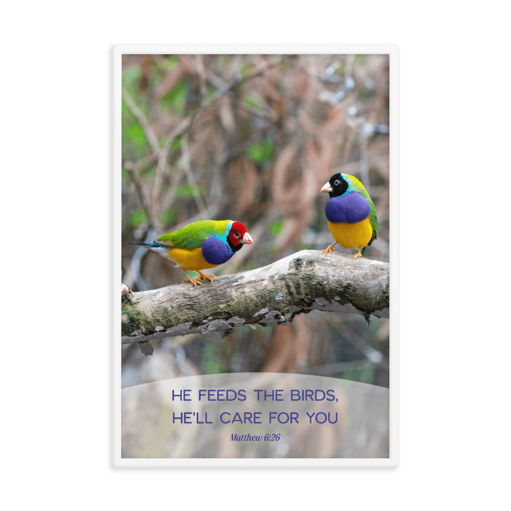 Matt 6:26, Gouldian Finches, He'll Care for You Framed Poster