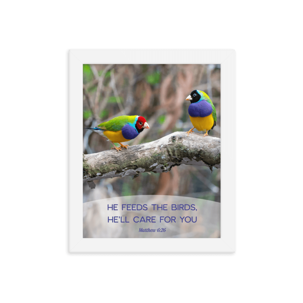 Matt 6:26, Gouldian Finches, He'll Care for You Framed Poster