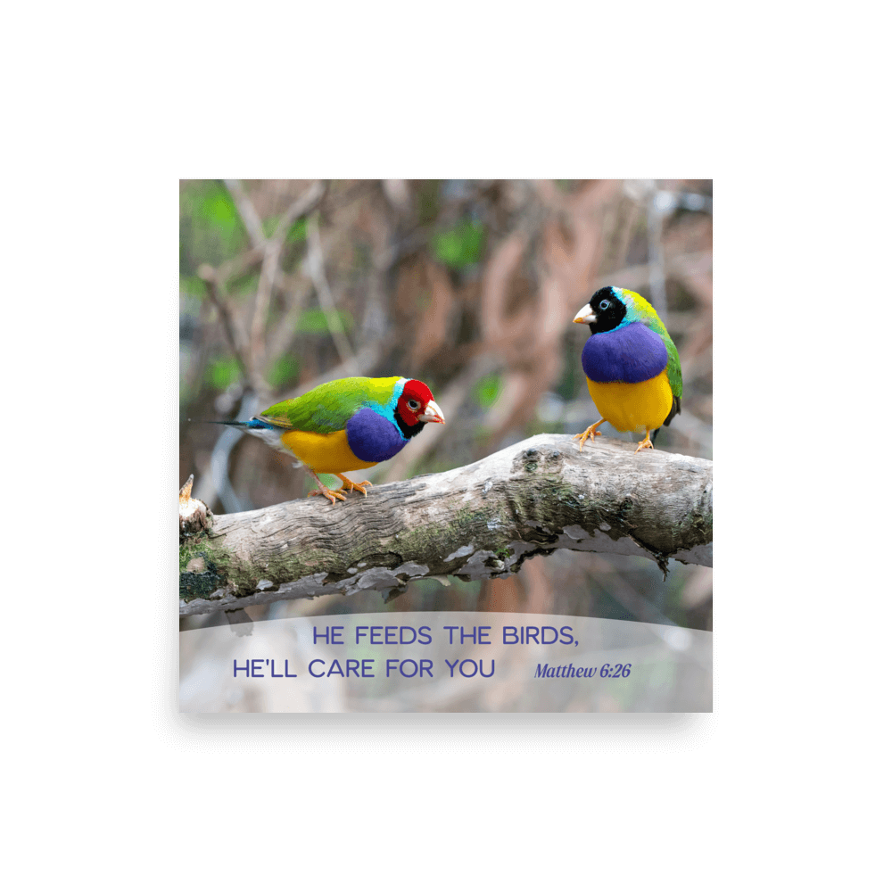 Matt 6:26, Gouldian Finches, He'll Care for You Poster