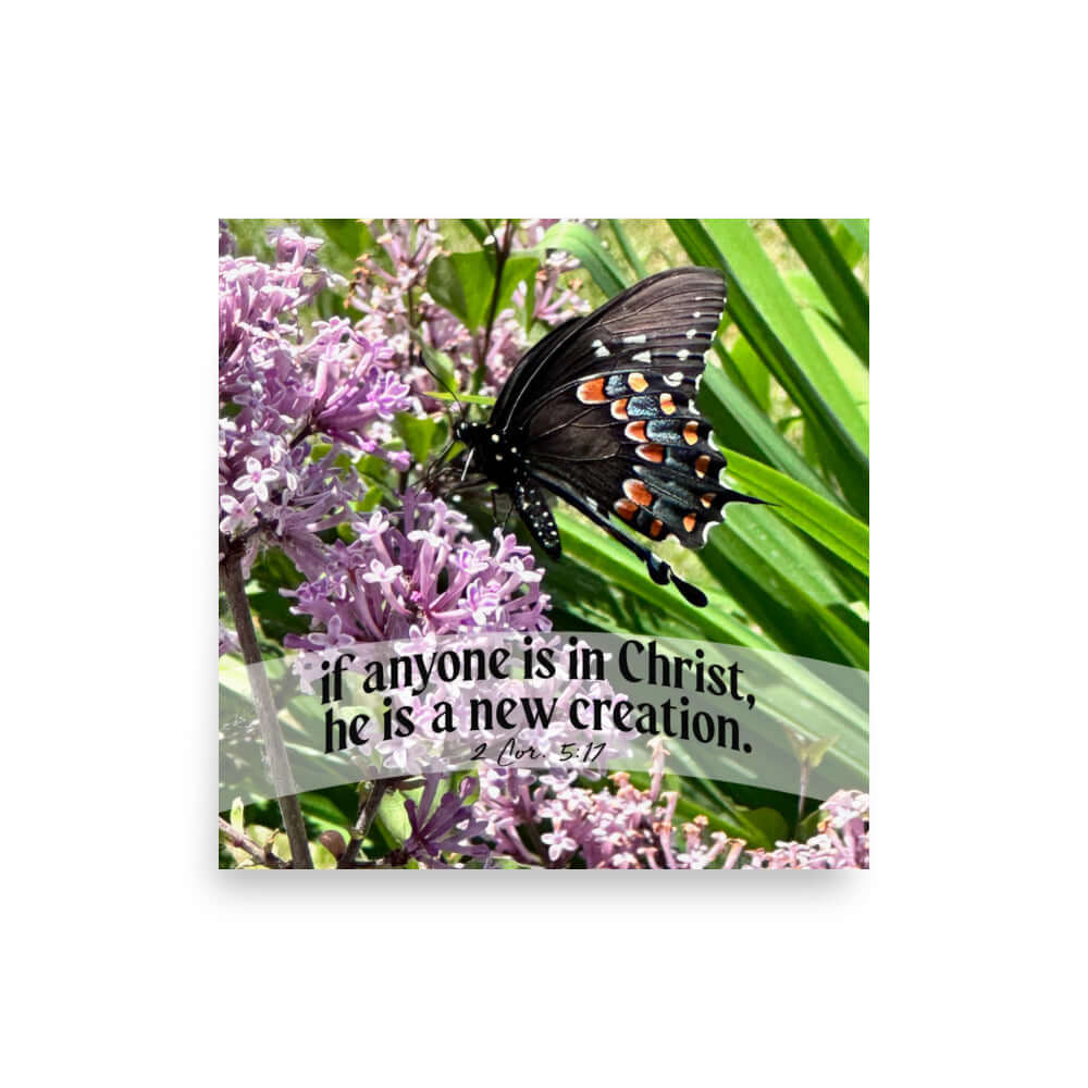 2 Cor. 5:17 Bible Verse, Butterfly Poster