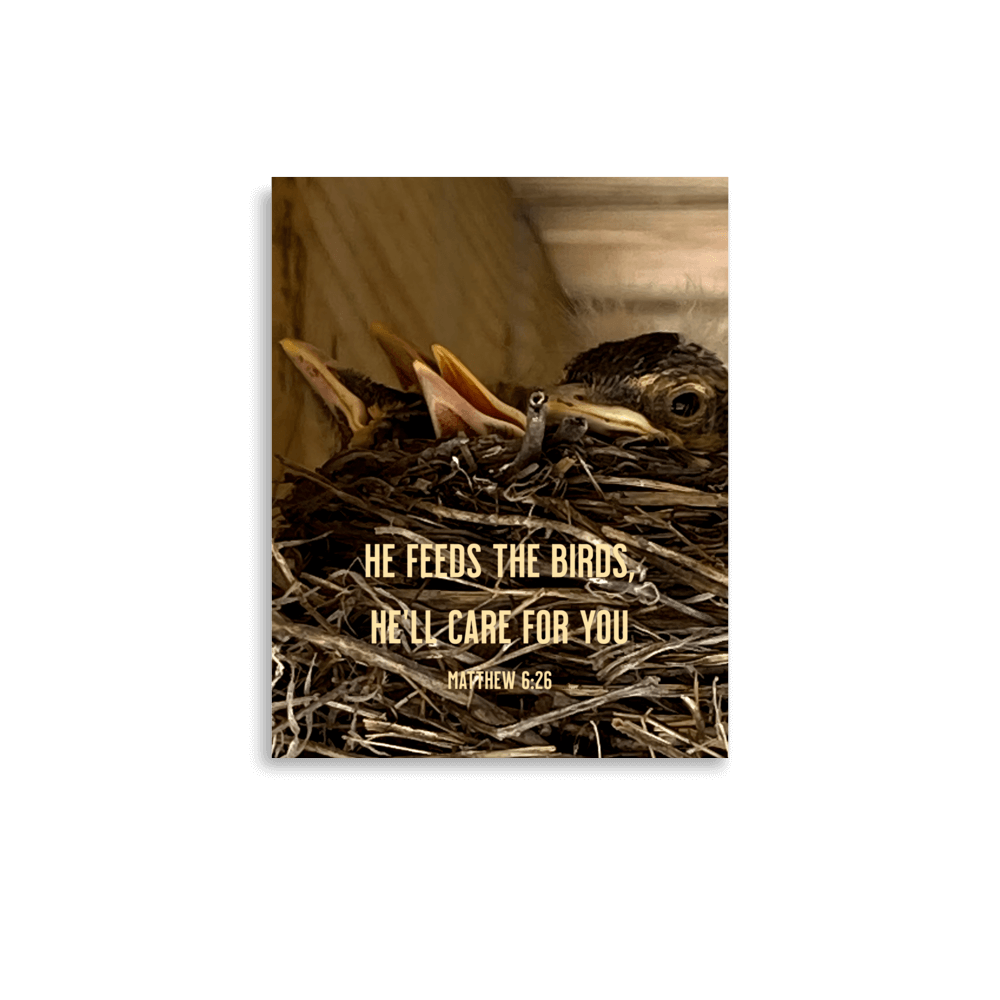 Matt 6:26, Baby Robins, He'll Care for You Poster