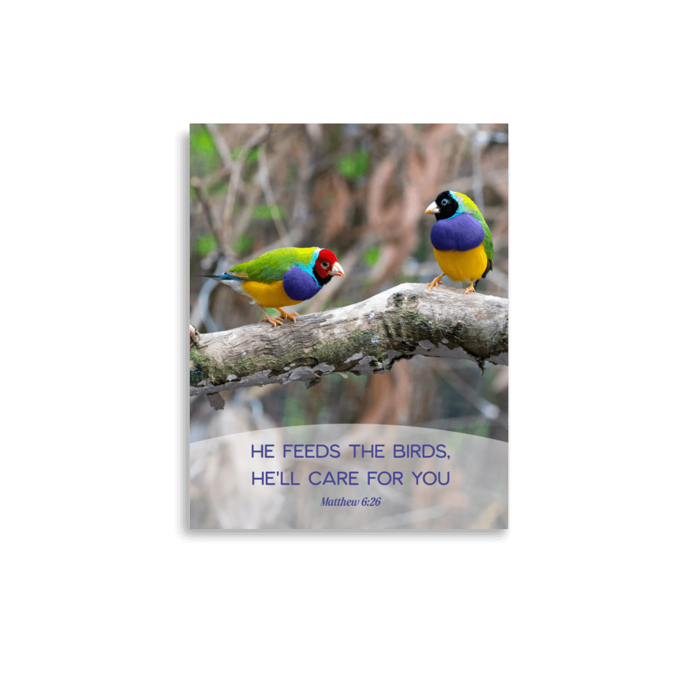 Matt 6:26, Gouldian Finches, He'll Care for You Poster