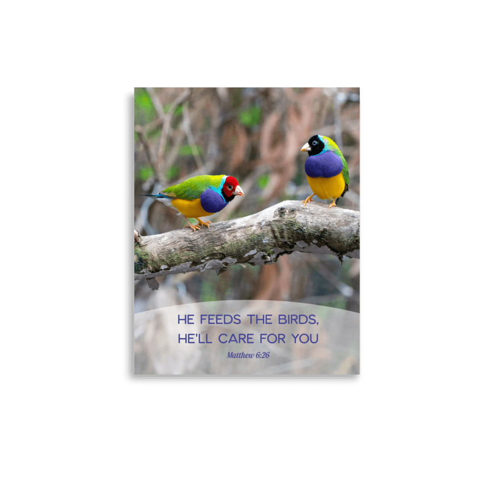 Matt 6:26, Gouldian Finches, He'll Care for You Enhanced Matte Paper Poster