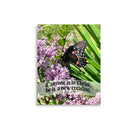 2 Cor. 5:17 Bible Verse, Butterfly Poster