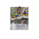 Matt 6:26, Gouldian Finches, He'll Care for You Enhanced Matte Paper Poster