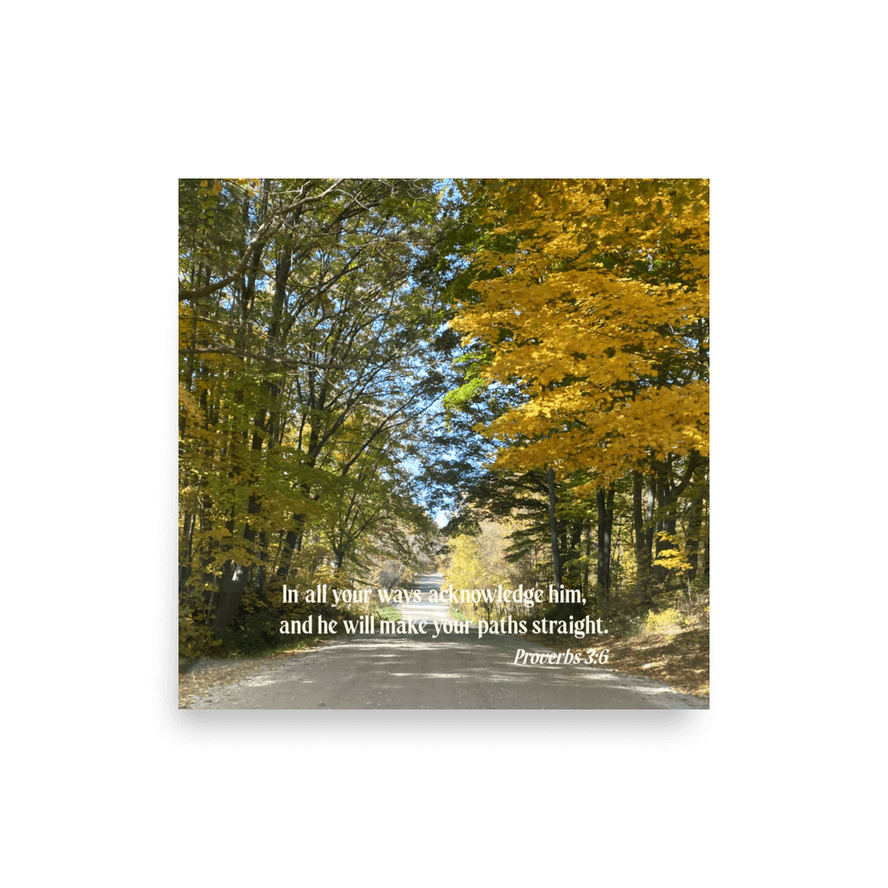 Prov 3:6, Bible Verse, Fall Road Poster