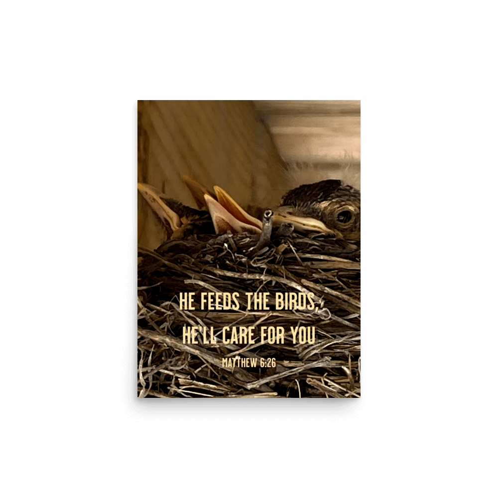 Matt 6:26, Baby Robins, He'll Care for You Poster
