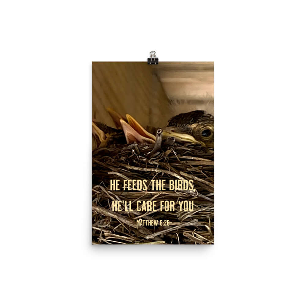 Matt 6:26, Baby Robins, He'll Care for You Enhanced Matte Paper Poster