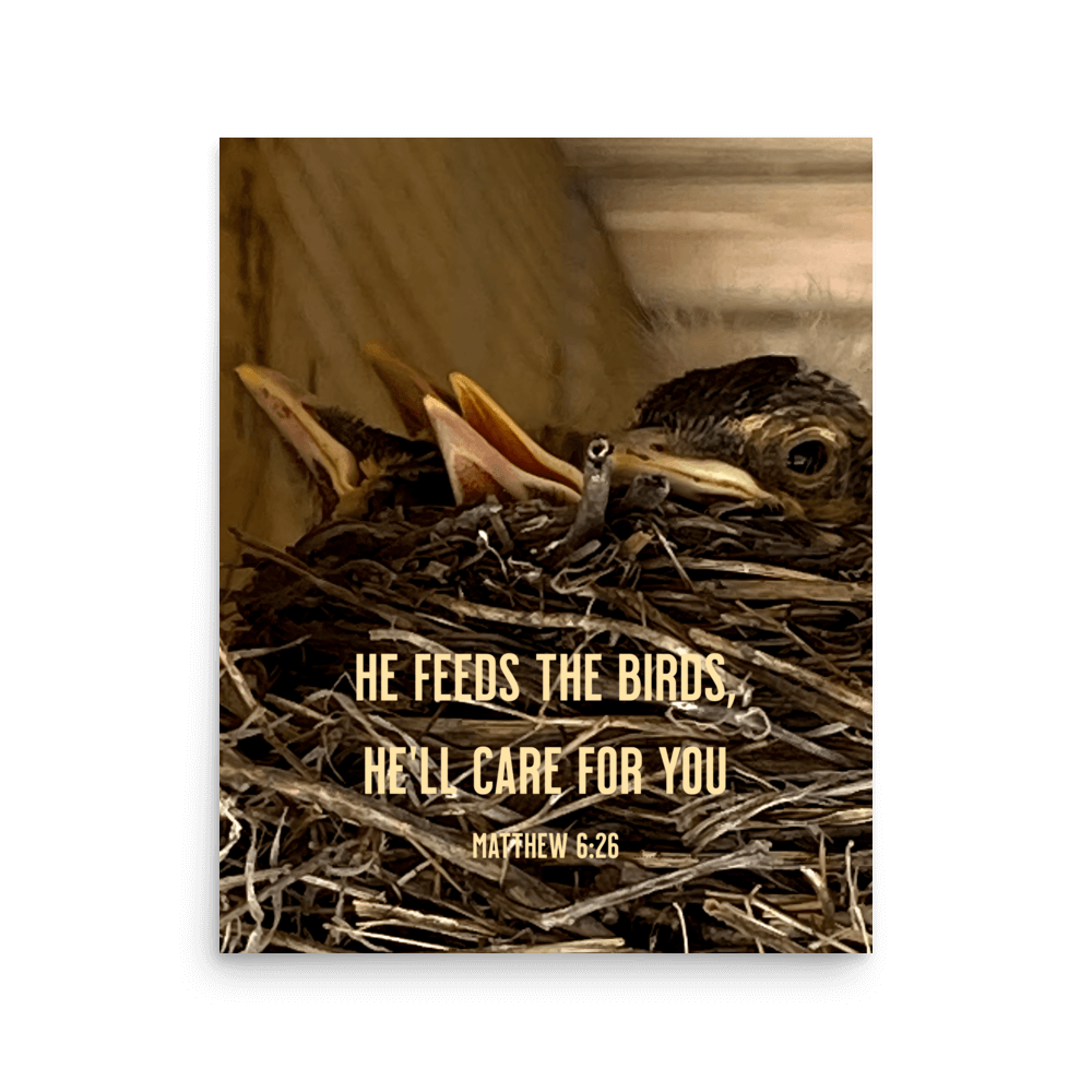 Matt 6:26, Baby Robins, He'll Care for You Poster