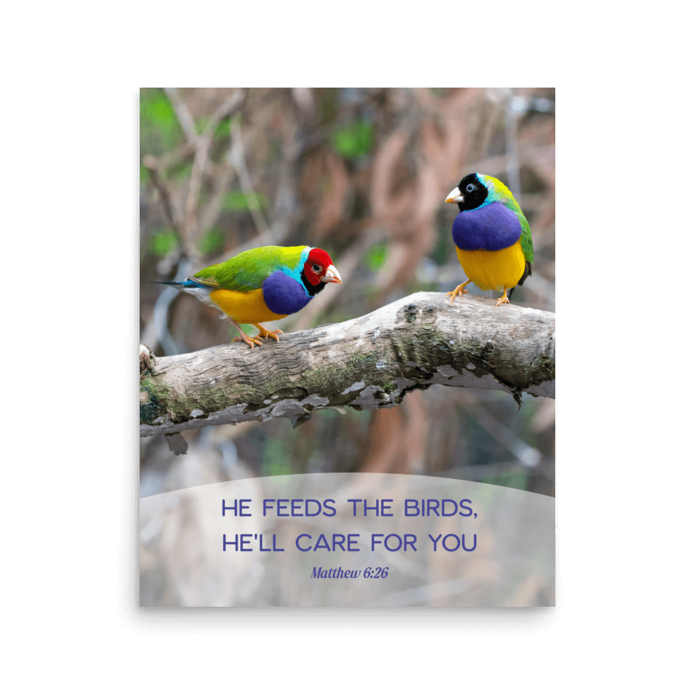 Matt 6:26, Gouldian Finches, He'll Care for You Poster