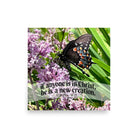 2 Cor. 5:17 Bible Verse, Butterfly Poster