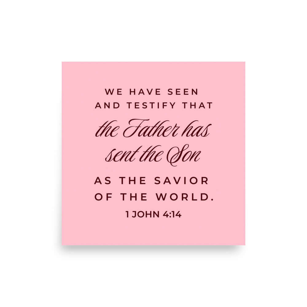 1 John 4:14 - Bible Verse, We have seen Enhanced Matte Paper Poster