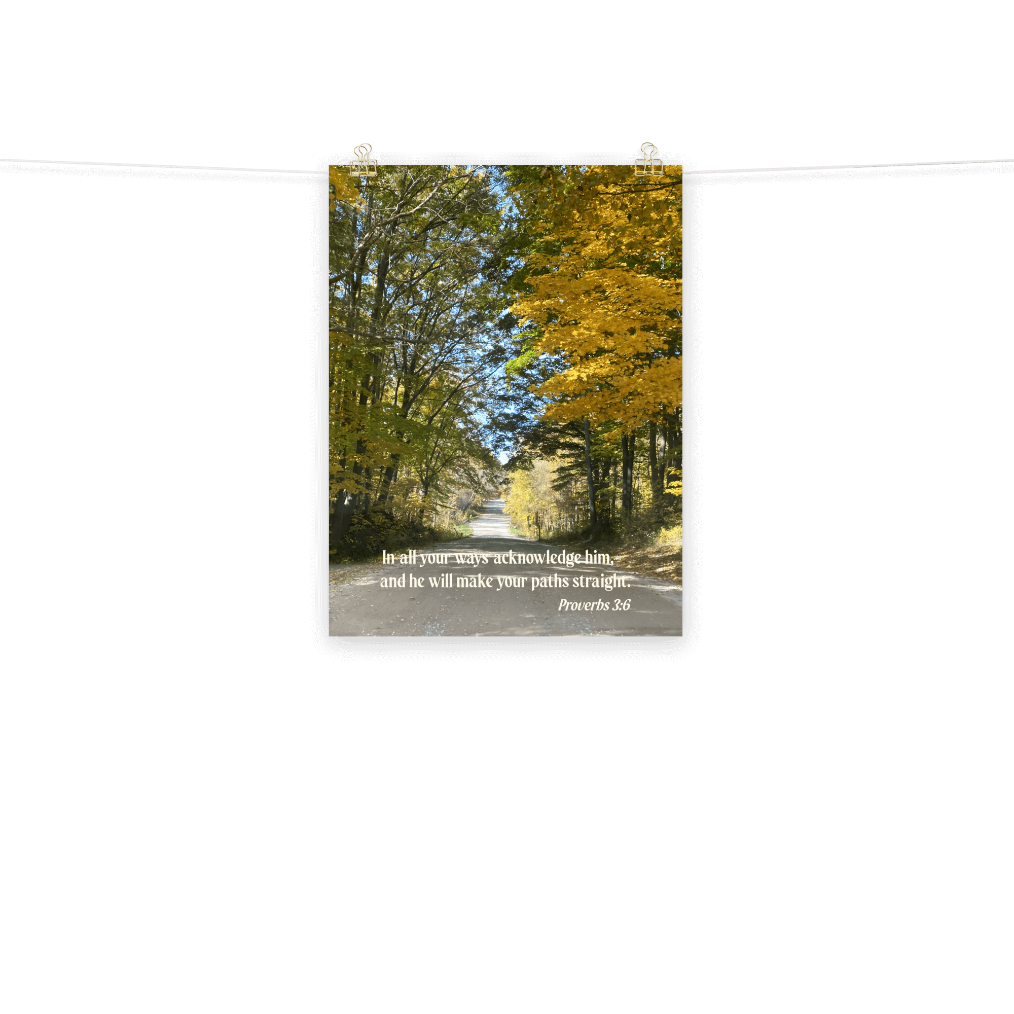 Prov 3:6, Bible Verse, Fall Road Poster