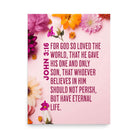 John 3:16 - Bible Verse, For God So Loved Poster