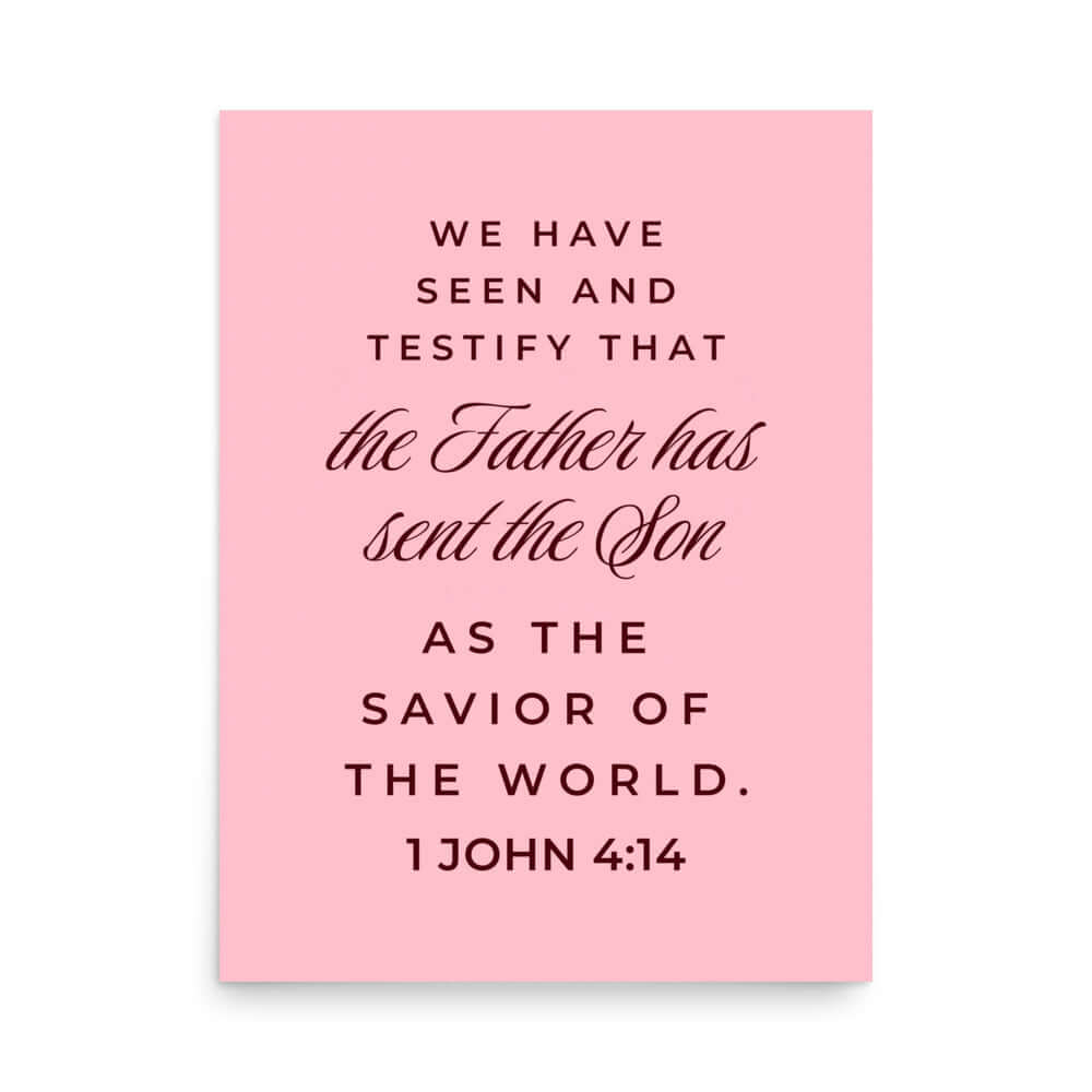 1 John 4:14 - Bible Verse, We have seen Enhanced Matte Paper Poster