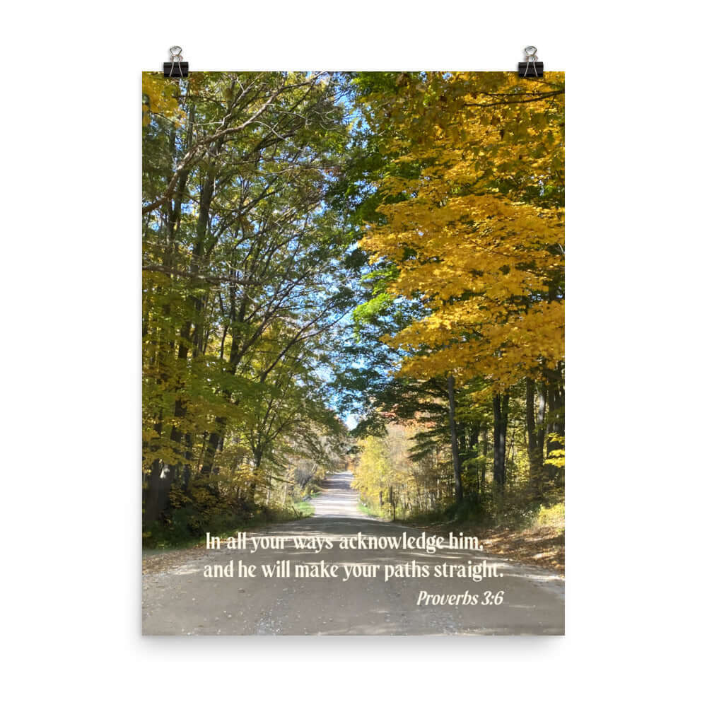 Prov 3:6, Bible Verse, Fall Road Enhanced Matte Paper Poster