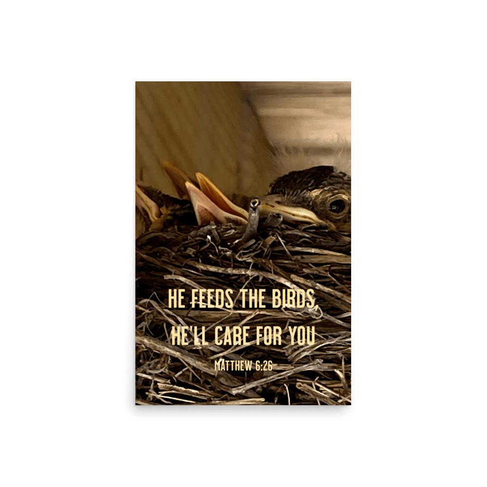 Matt 6:26, Baby Robins, He'll Care for You Poster