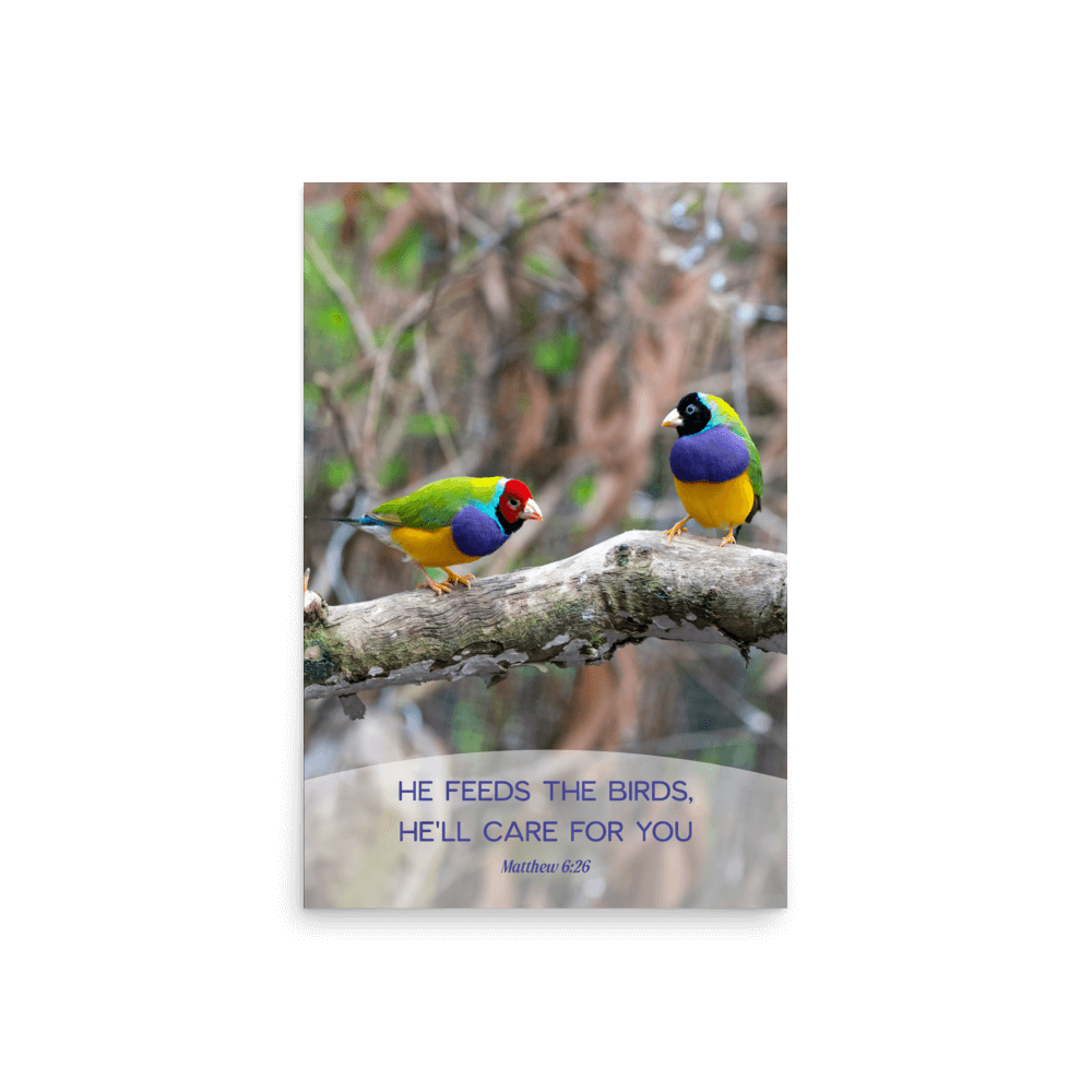 Matt 6:26, Gouldian Finches, He'll Care for You Poster