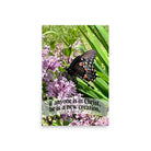 2 Cor. 5:17 Bible Verse, Butterfly Poster