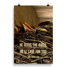 Matt 6:26, Baby Robins, He'll Care for You Enhanced Matte Paper Poster