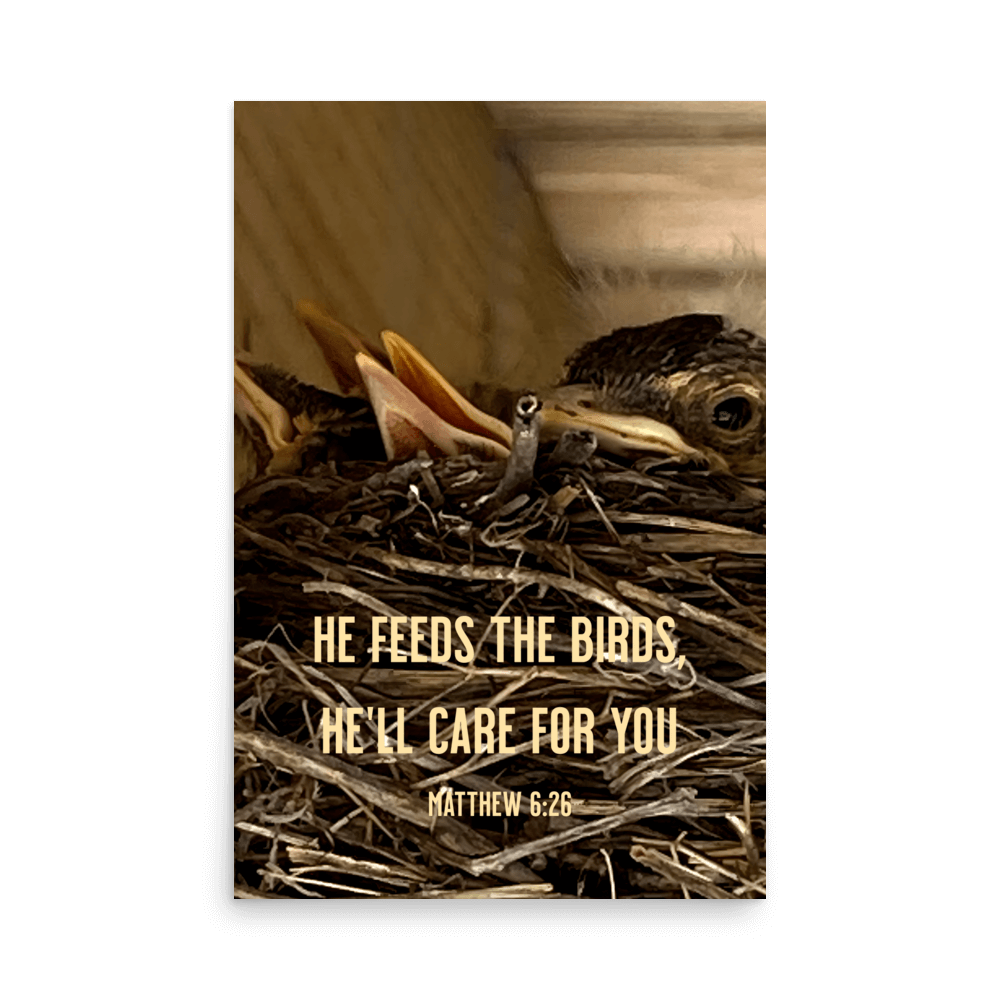 Matt 6:26, Baby Robins, He'll Care for You Poster