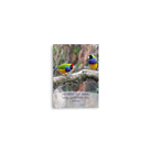 Matt 6:26, Gouldian Finches, He'll Care for You Enhanced Matte Paper Poster