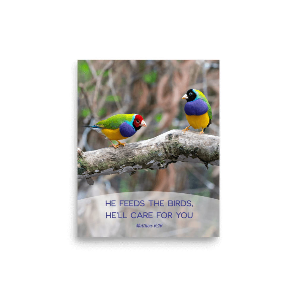 Matt 6:26, Gouldian Finches, He'll Care for You Poster