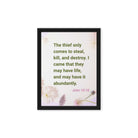 John 10:10 - Bible Verse, Abundant Life Framed Canvas