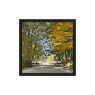 Prov 3:6, Bible Verse, Fall Road Framed Canvas