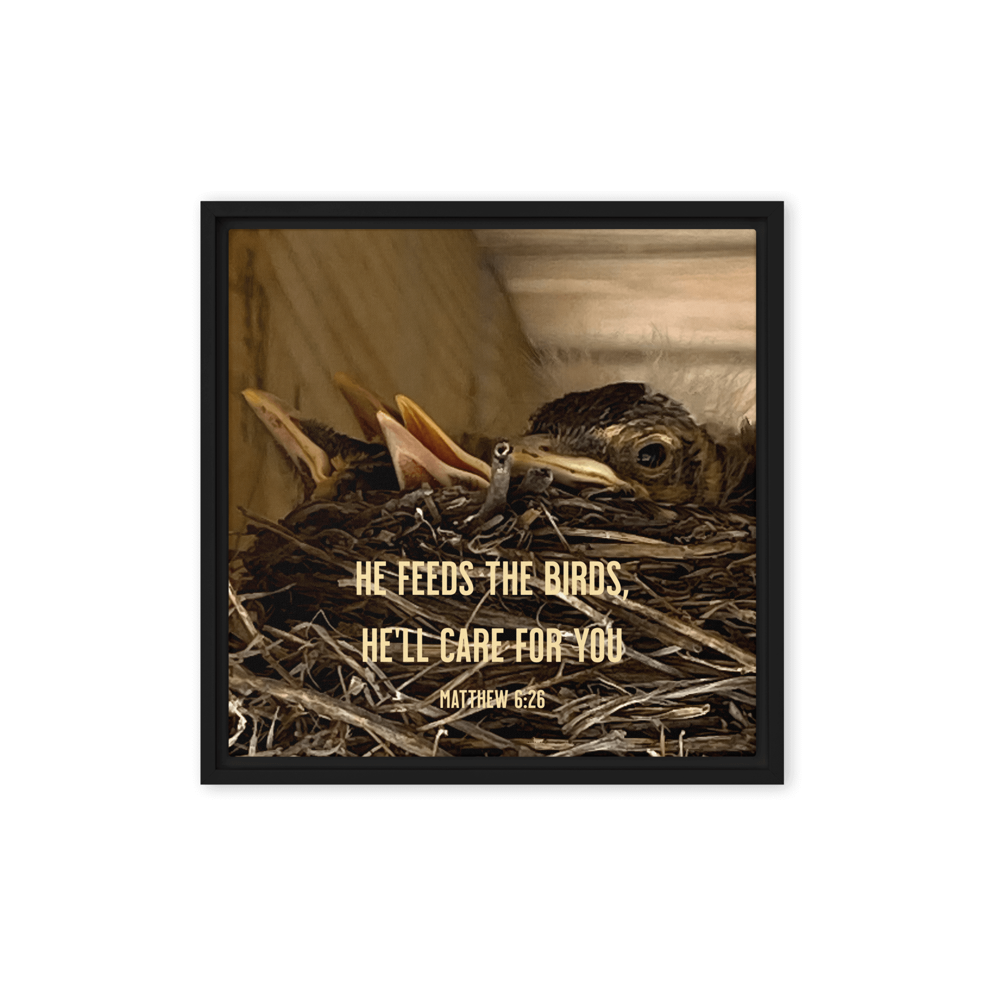 Matt 6:26, Baby Robins, He'll Care for You Framed Canvas